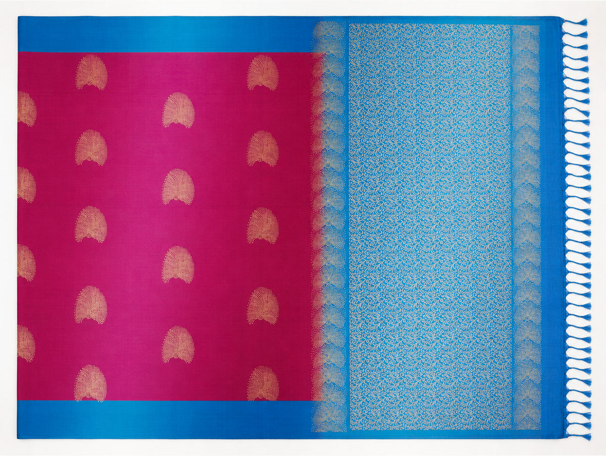 Mayil fuchsia and sky blue pure silk saree full body and paisley-woven pallu